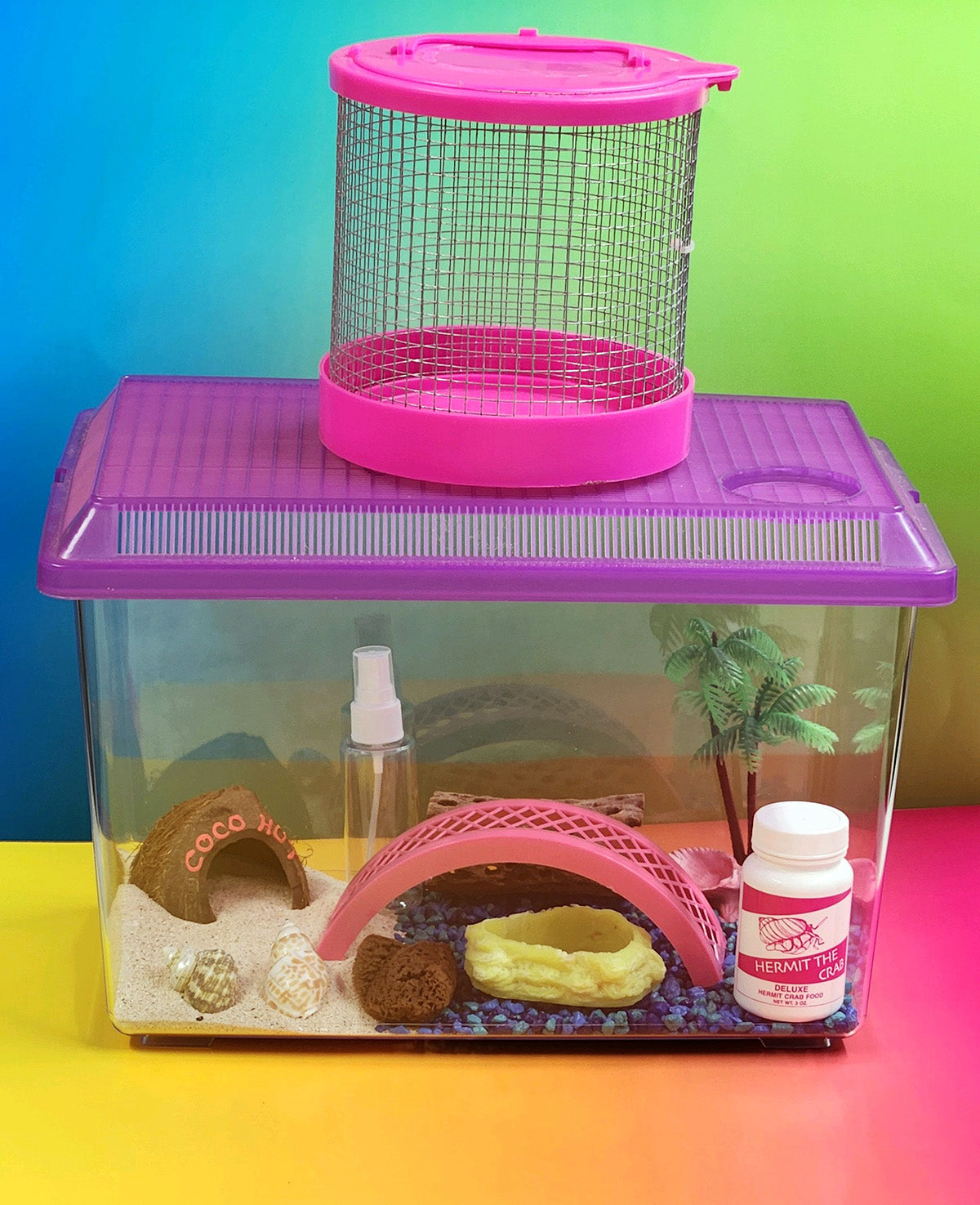 Hermit Crab Starter Kit Deluxe with Hermit Crab Food and Accessories