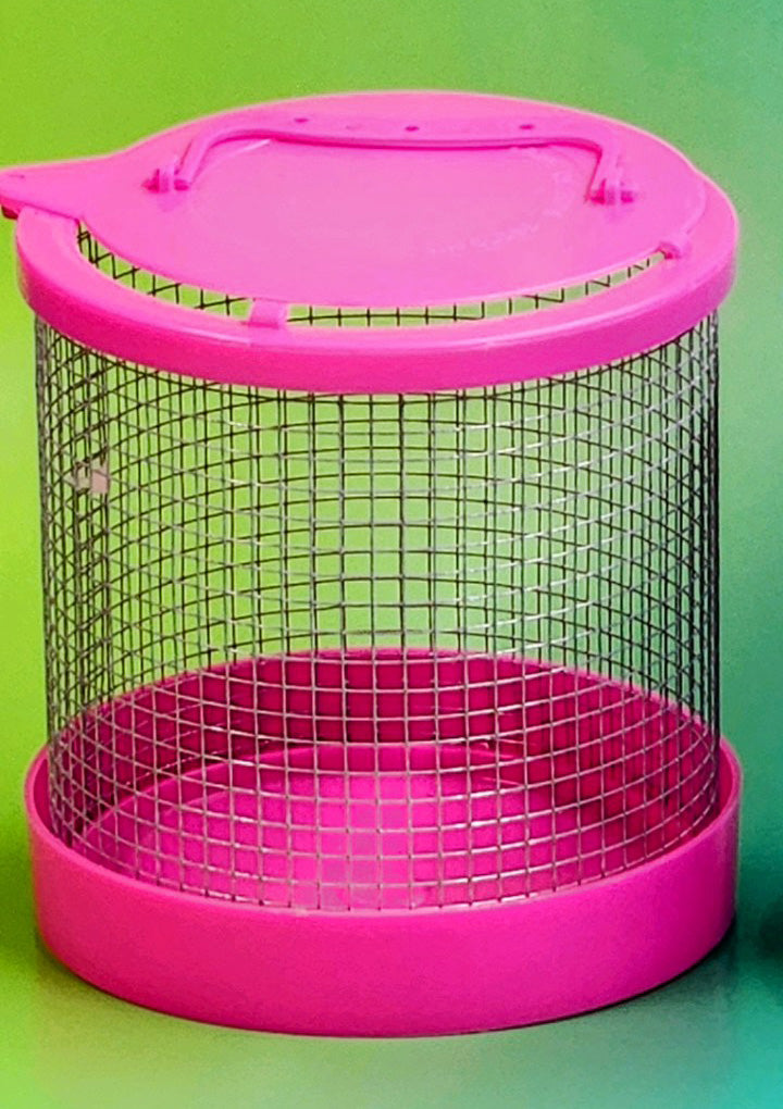 Hermit Crab Wire Cage