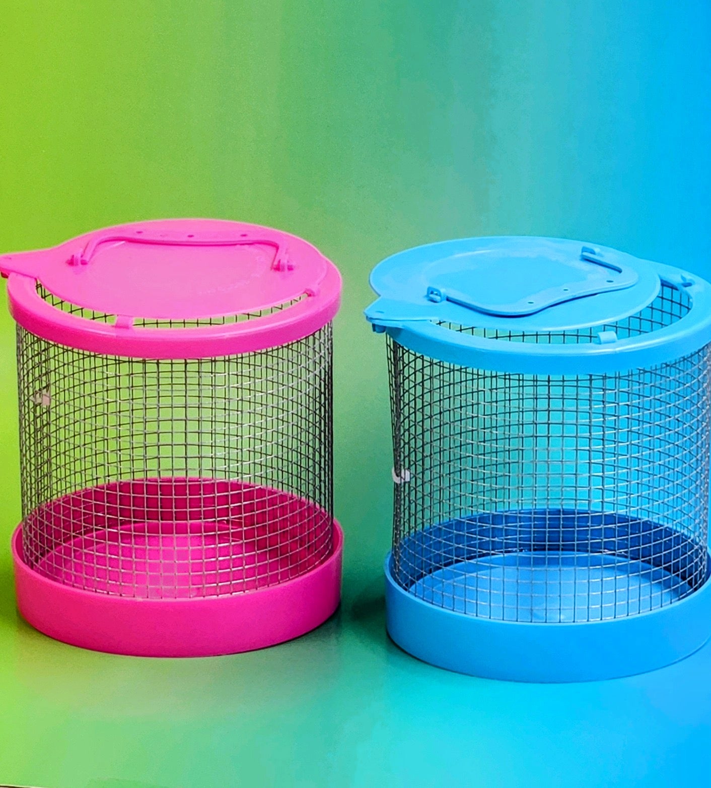 Pink and Blue Hermit Crab Cages for Cleaning Hermit Crab Tank or Travel