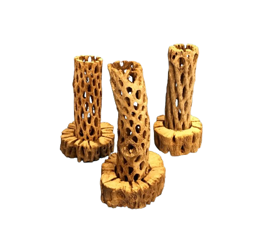 Variations of Hermit Crab Choya Wood Climbing Tower